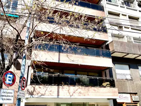 Carlos Pellegrini 1300