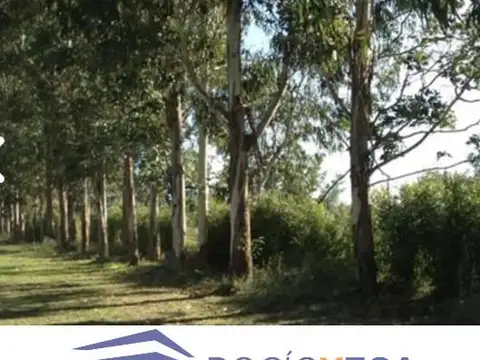 Terreno en Venta de 515,0 m2