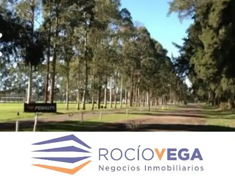 Lote en venta en Santo Tomás, Pilar