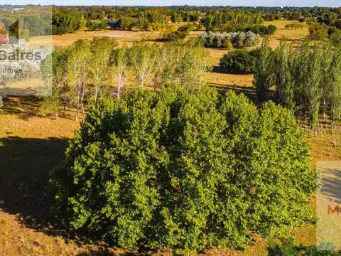 Lote/terreno en venta Azurra Tortugas - Pilar - sector 3