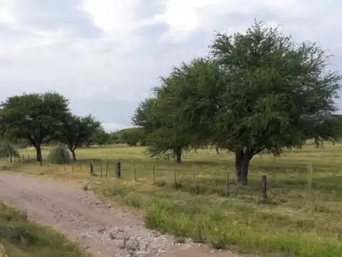 Lote | DIQUE LA ESTRECHURA - El Volcán