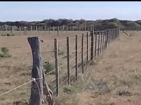 Campo ganadero 1.190 ha en Pacheco de Melo, Córdoba