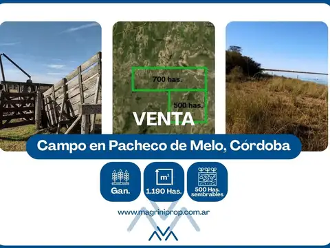 Campo Ganadero 1190 Has. en Pacheco de Melo, Córdoba