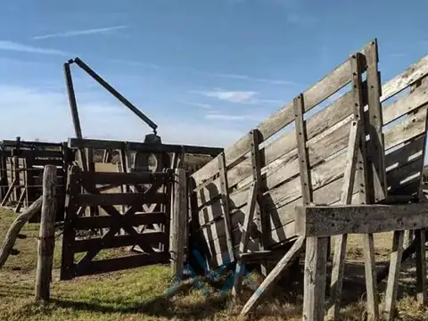 Campo Ganadero 1190 Has. en Pacheco de Melo, Córdoba