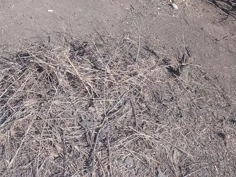 Terreno en Venta 15  mts Frente