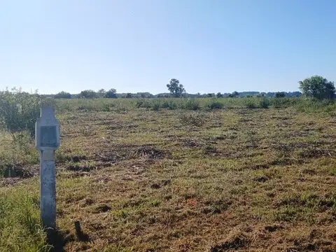 Terreno en Venta en Colonia Carolina, USD 6.900