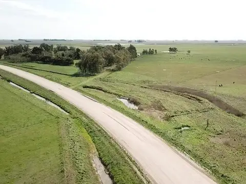 General Guido - Labarden - 355 has