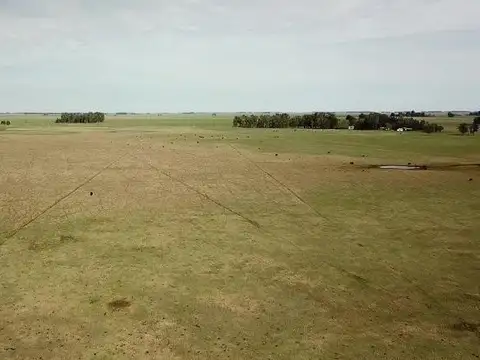 General Guido - Labarden - 355 has