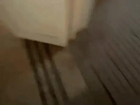 Local y vivienda en venta en Carmen De Areco