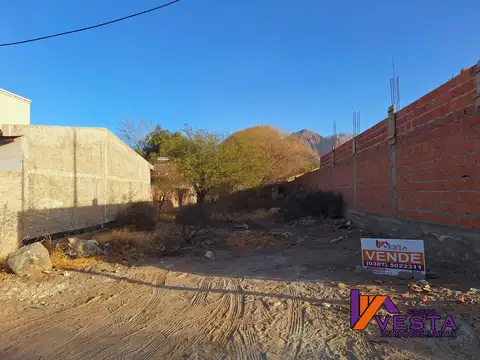 Cafayate-terreno-venta-paseo De Las ViÑas 100