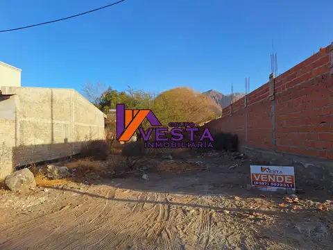 Cafayate-terreno-venta-paseo De Las Viñas