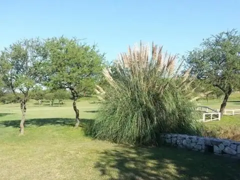 Terreno en Venta de 1850,0 m2