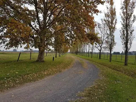 Casa Campo Terreno en venta Villa Amelia