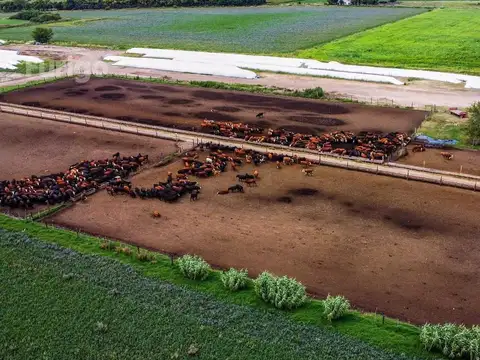 Campo en Soldini