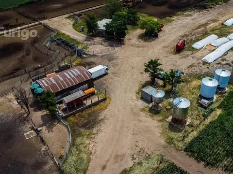 Campo en Soldini