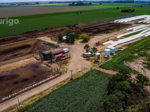 Campo en Soldini