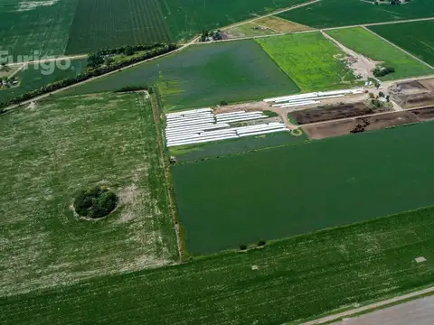 Campo en Soldini