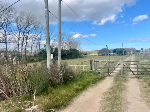 La Manchega