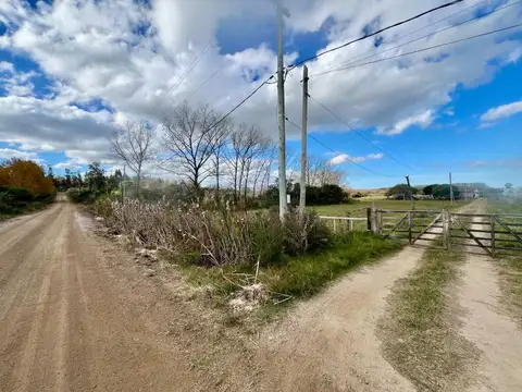 La Manchega