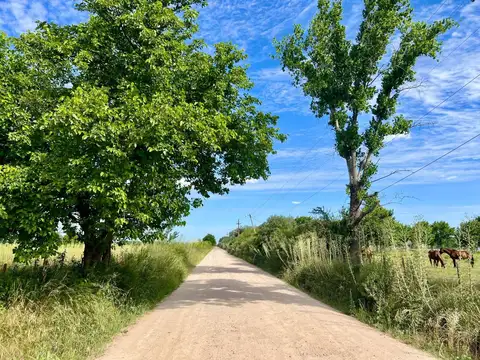 Oportunidad! Terreno En La Ranita U$d 20.000