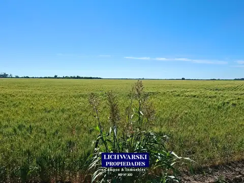 Campo en Venta de 52  ha