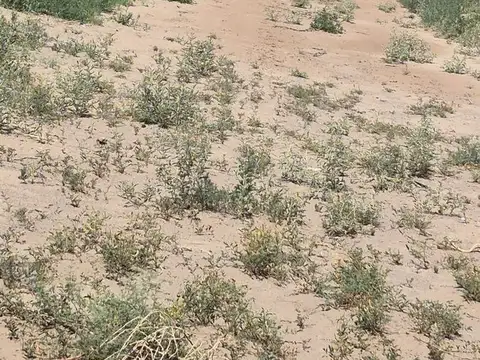 VENTA FINCA EN SAN MARTÍN