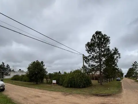 Terrenos en Nuevo Pueblo Belgrano.