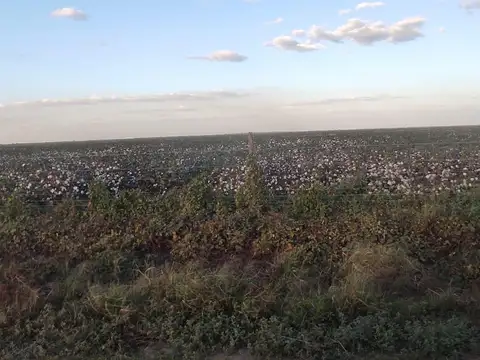 VILLA UNION, SANTIAGO DEL ESTERO