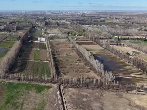 CHACRA DE 5.6HAS EN CENTENARIO – LOTE AGRICOLA