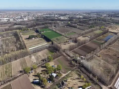 CHACRA DE 5.6HAS EN CENTENARIO – LOTE AGRICOLA