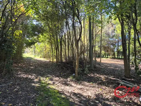 Terreno en Venta 180  mts Frente