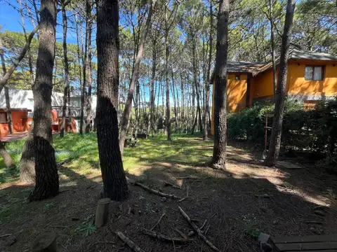 Calle 43 entre Punta del Este y Calle 1