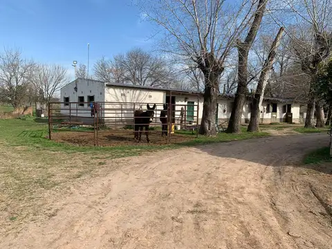 Manuel Quintana al 1100