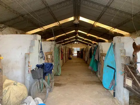 Campo - Villa Astolfi