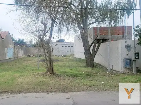 9 e/ 500 y 499