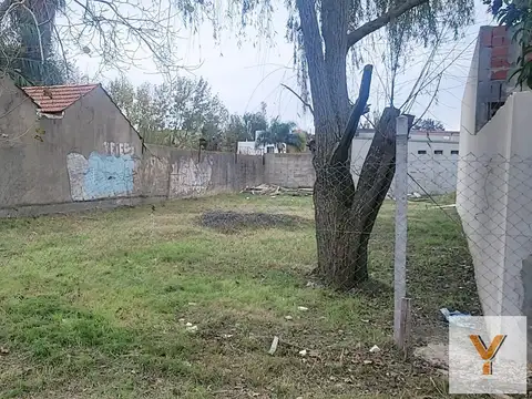 9 e/ 500 y 499