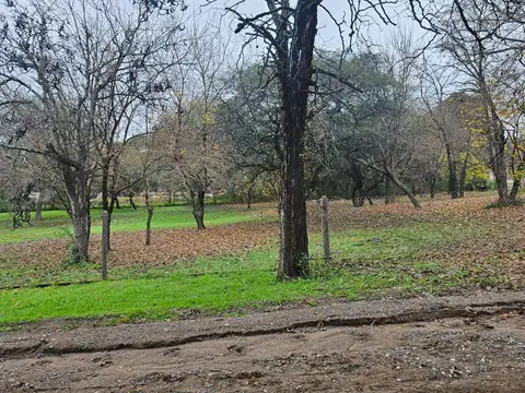 Terreno en Venta de 3604,0 m2