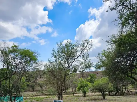 Terreno en Venta en Zona Centro, USD 47.000