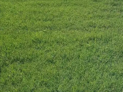 Lote en venta Puertos Escobar . Barrio Amarras I