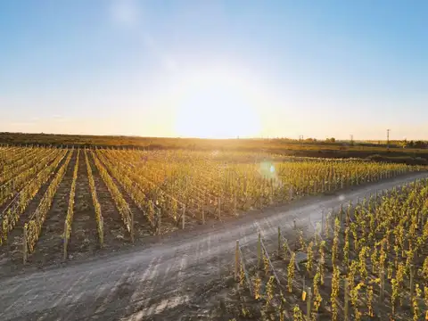 Terreno en Venta de 1000,0 m2