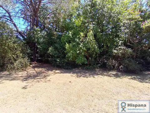 Nobel esquina Sócrates