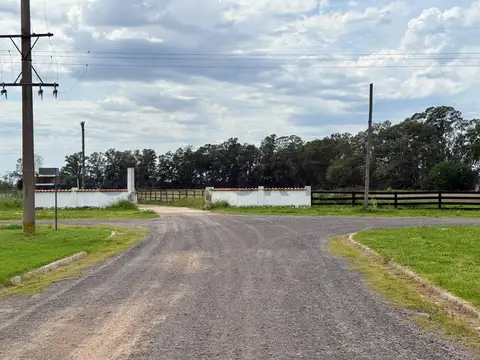 Terreno en Venta 12  mts Frente