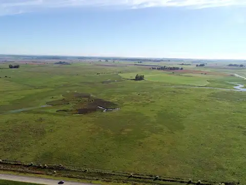 Cañuelas - 135 has- Ideal desarrollo