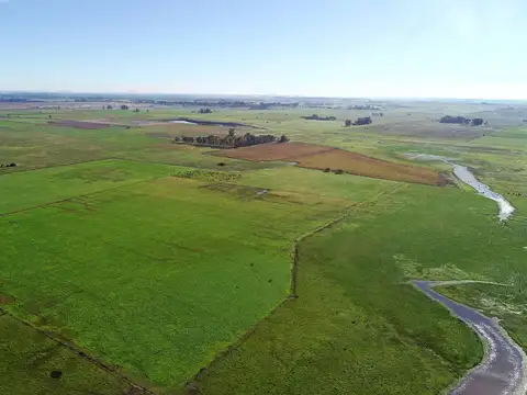 Cañuelas - 135 has- Ideal desarrollo