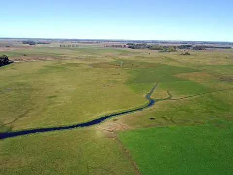 Cañuelas - 135 has- Ideal desarrollo