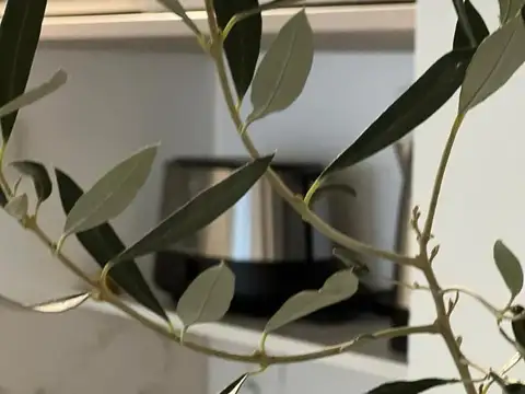 Departamento en Microcentro