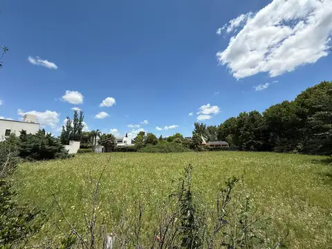 Las Araucarias esq. Los Fresnos