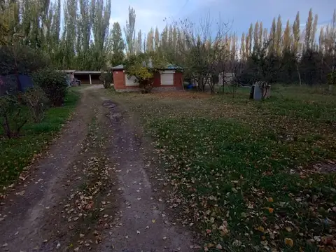 Casa en Alquiler con 4 cocheras