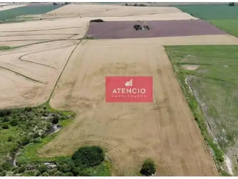 Campo De 11,2 Has (rincon Del Doll) Con  Costa Sobre Arroyo