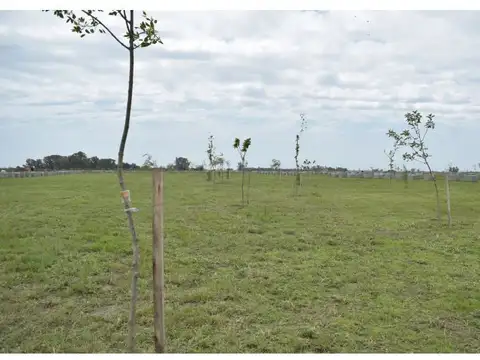 LOTE CERCA DE ROSARIO